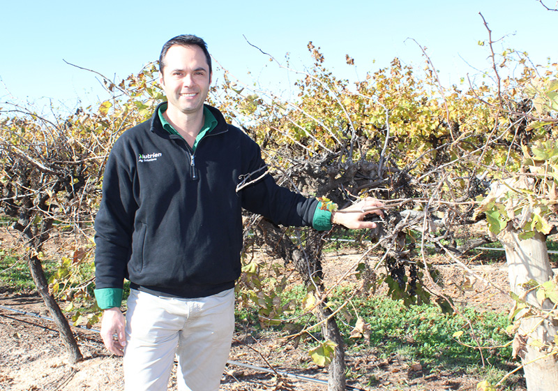 Agronomist Jason Cappello