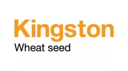 Kingston Wheat